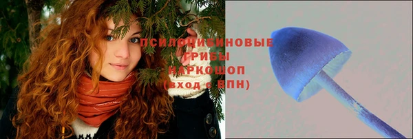 метадон Алексин
