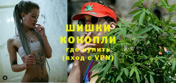 ПСИЛОЦИБИНОВЫЕ ГРИБЫ Алзамай