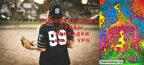 ПСИЛОЦИБИНОВЫЕ ГРИБЫ Алзамай