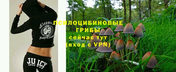 ПСИЛОЦИБИНОВЫЕ ГРИБЫ Алзамай